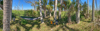 Panorama 556 Hall Creek 2021 Panorama Hall Creek Campsite