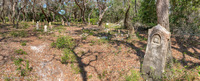 Panorama 559 Cedar Key Small Boat Meet Panorama 