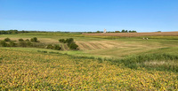 Panorama 584 Guttenberg 2021 Panorama 