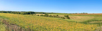 Panorama 585 Guttenberg 2021 Panorama 