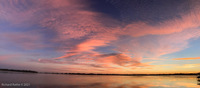 Panorama 590 Panorama 