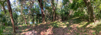Panorama 604 Panorama Pott S Preserve Withlacoochee Canoe Trip 2022 