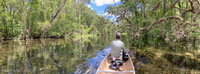 Panorama 608 Gum Slough 2022 Panorama Withlacoochee Canoe Trip 2022 