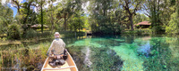 Panorama 609 Gum Slough 2022 Panorama Withlacoochee Canoe Trip 2022 Head Spring