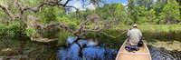 Panorama 610 Gum Slough 2022 Panorama Withlacoochee Canoe Trip 2022 