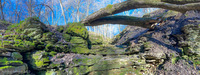 Panorama 612 Guttenberg 2022 Panorama 