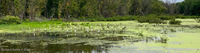 Panorama 632 Guttenberg 2022 Panorama 