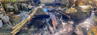 Panorama 647 Bwca 2022 Panorama 