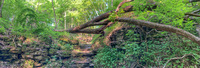 Panorama 667 Guttenberg 2023 Panorama 