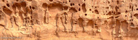 Panorama 770 Arches National Park Flagged Panorama Southwest Trip 2024 