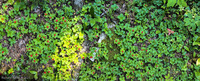 Panorama 824 Apostle Islands 2025 Panorama Sea Caves 