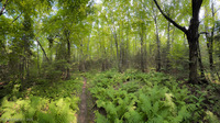 Panorama 825 Apostle Islands 2025 Panorama Sea Caves 