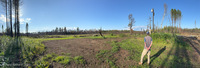 Panorama 833 Brimson September 2025 Panorama 