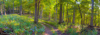 Panorama 835 Artistic Guttenberg 2025 Panorama Pikes Peak Iowa 