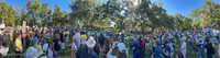 Panorama 842 Panorama No Kings 2
