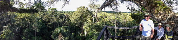 one_hundred_feet_up_in_kapok_tree