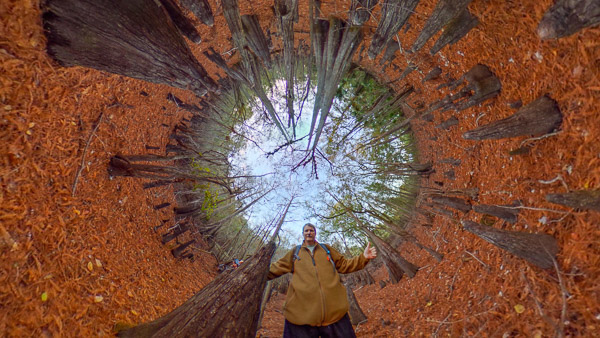 Wormhole