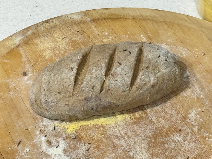 Rye Dough Ready for the Oven (Note Cornmeal to Prevent Sticking)
