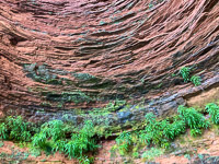 1013 Bayfield Area Sea Caves