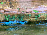 1015 Bayfield Area Sea Caves