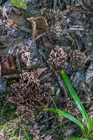 1021 Apostle Islands 2015 