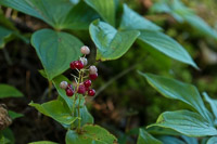 1026 Apostle Islands 2015 