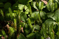 1028 Apostle Islands 2015 