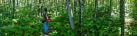 1034 Apostle Islands 2015 Panorama 
