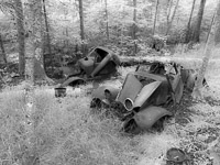 0016 Apostle Islands 2025 Artifact 