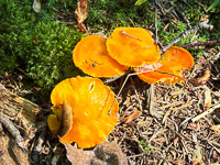 0023 Apostle Islands 2025 