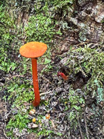 0025 Apostle Islands 2025 