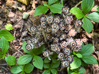 0026 Apostle Islands 2025 