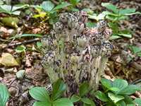 0027 Apostle Islands 2025 