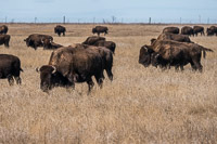 0001 Badlands National Park 2018 