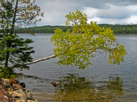 09 Bwca 2008 