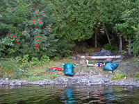 19 Bwca 2008 