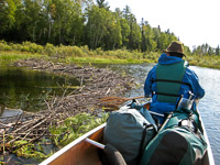 34 Bwca 2008 Beaver Dam
