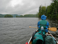 49 Bwca 2008 