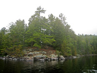 58 Bwca 2008 