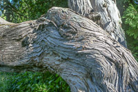 0032 Bwca 2018 Lake Malberg