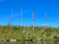 065 Bwca 2022 Eagle S Nest Burned Area
