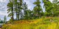 1042 Bwca 2024 Panorama 