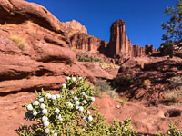 The Maze 2019005 Fisher Towers The Maze Utah 2019 