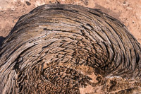 The Maze 2019063 The Maze Utah 2019 