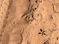The Maze 2019085 The Maze Utah 2019 