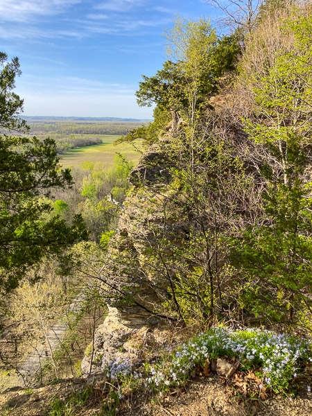 View from the Cliff Top