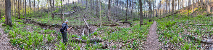Ravine Panorama
