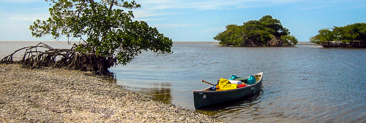 Everglades Wilderness Guide