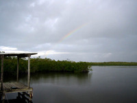 20 South Joe Rainbow