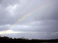 21 South Joe Rainbow